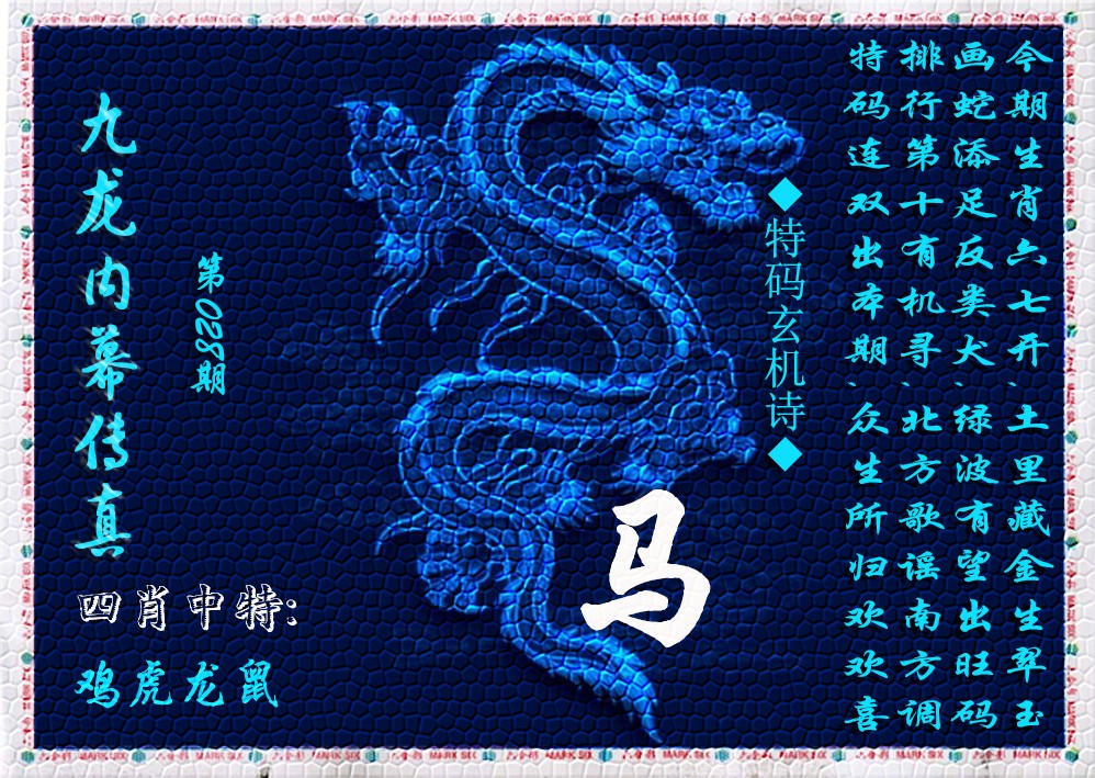 028期九龙内幕传真(新上市)[图]