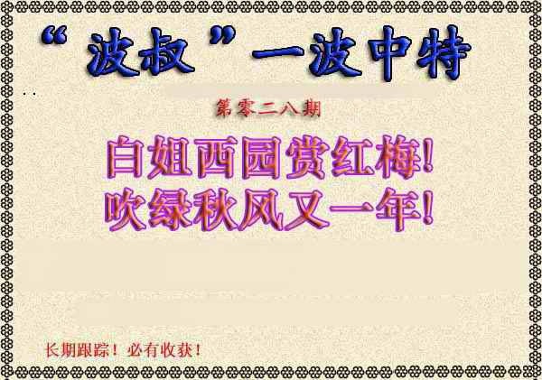 028期波叔一波中特[图]