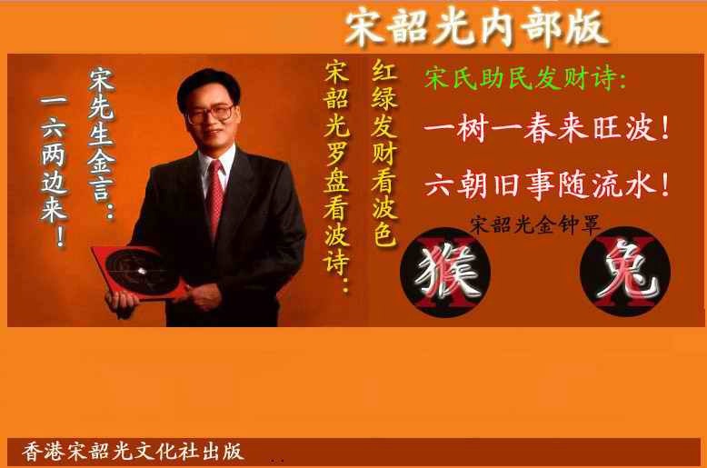 028期宋韶光内部版(另版)[图]