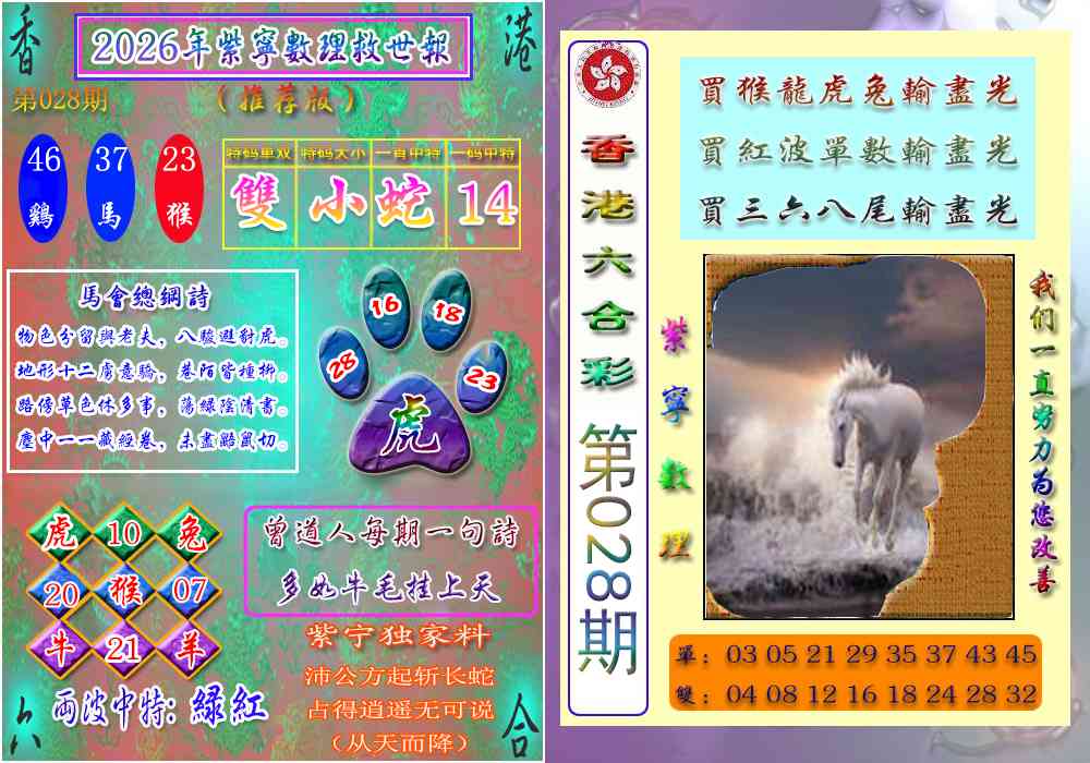 028期数理救世报[图]