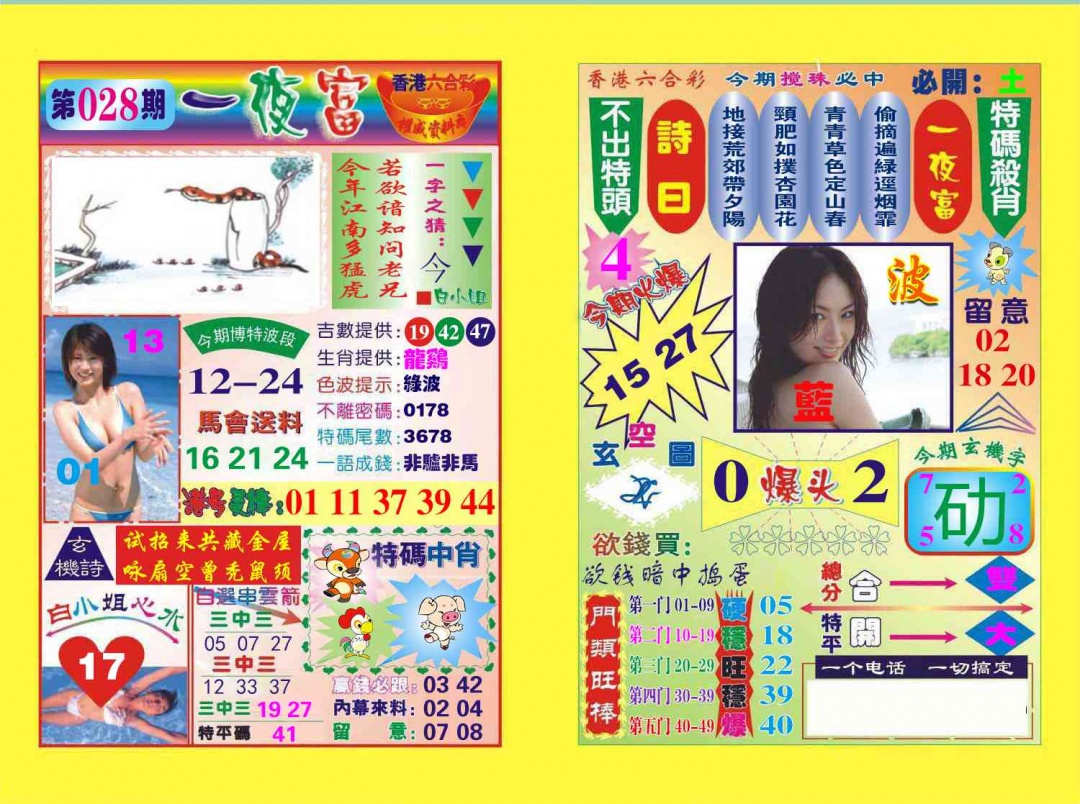 028期一夜富[图]