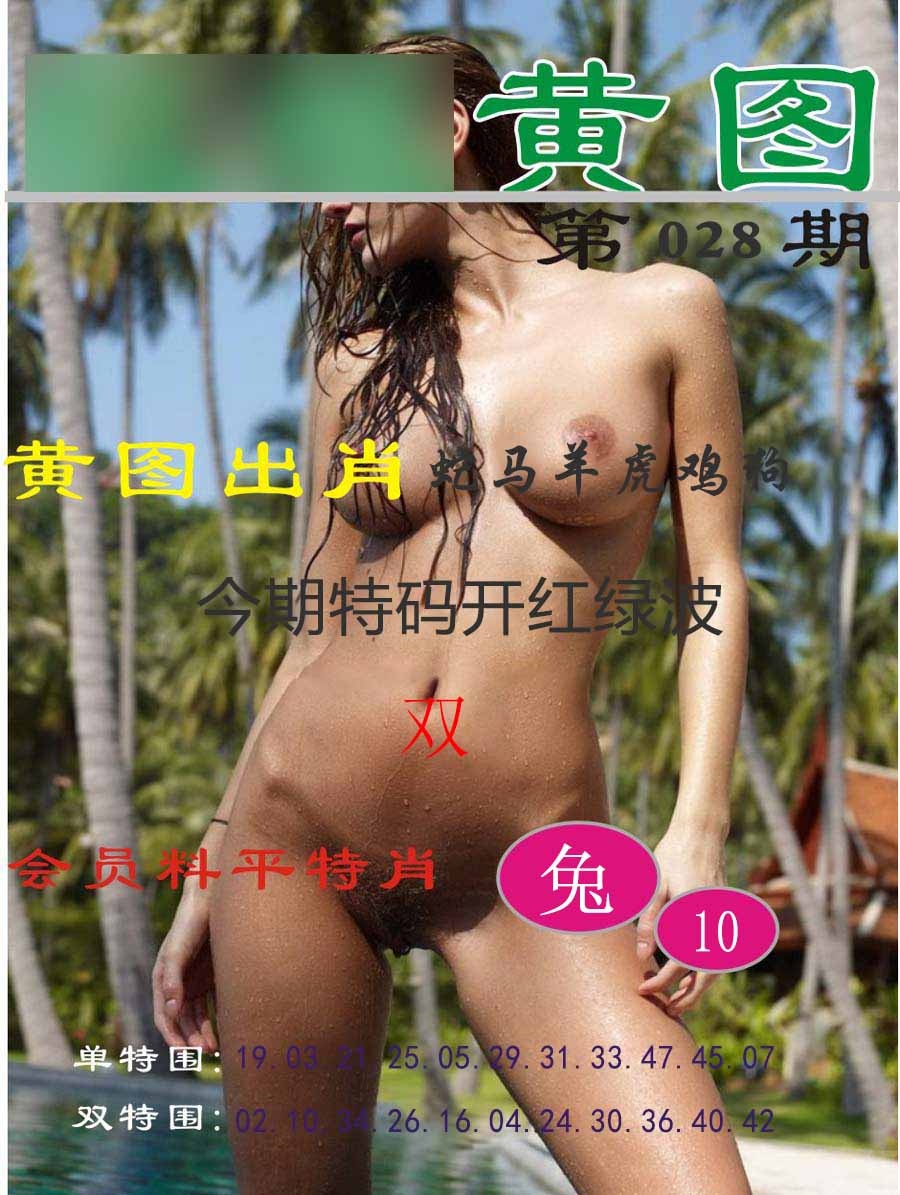 028期黄图[图]