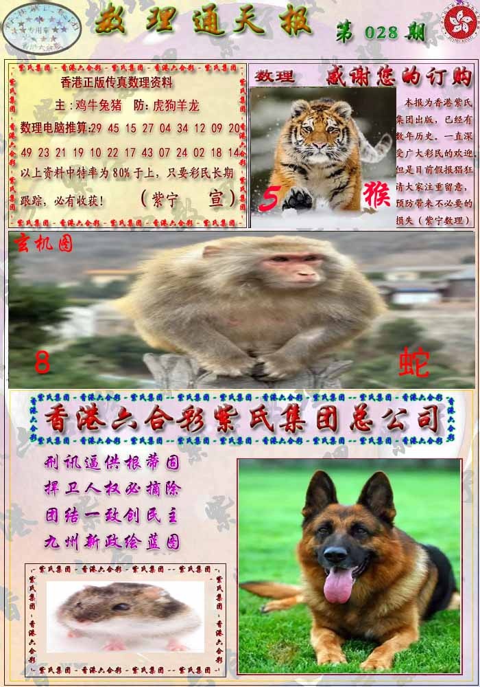 028期数通报[图]