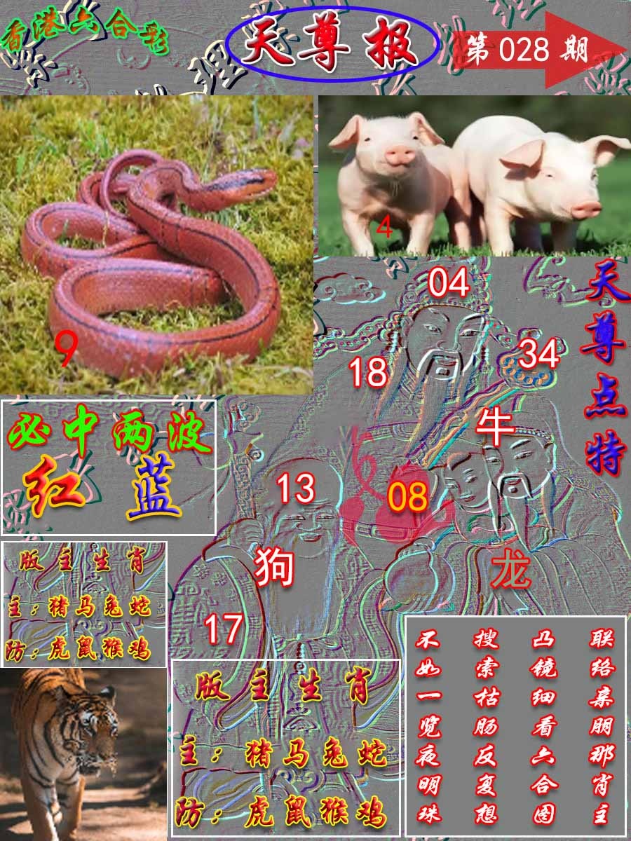 028期天尊报[图]