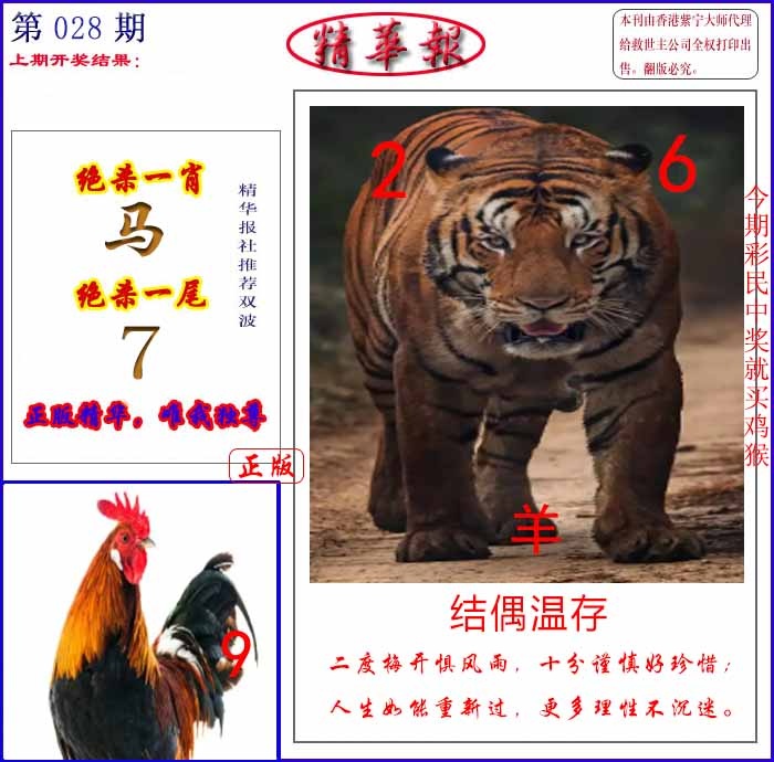028期新精华报报[图]