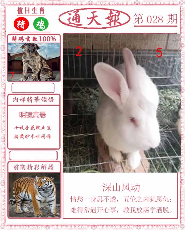 028期正版通天报[图]