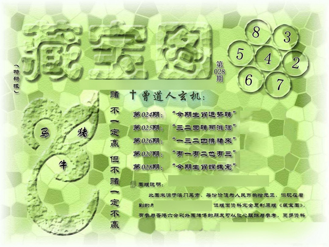 028期假新藏宝图[图]