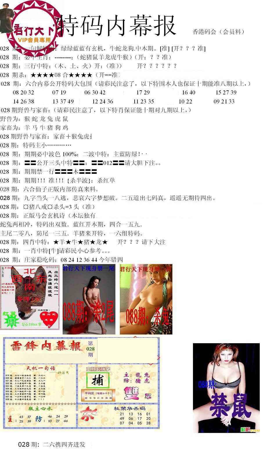 028期特码内幕报[图]
