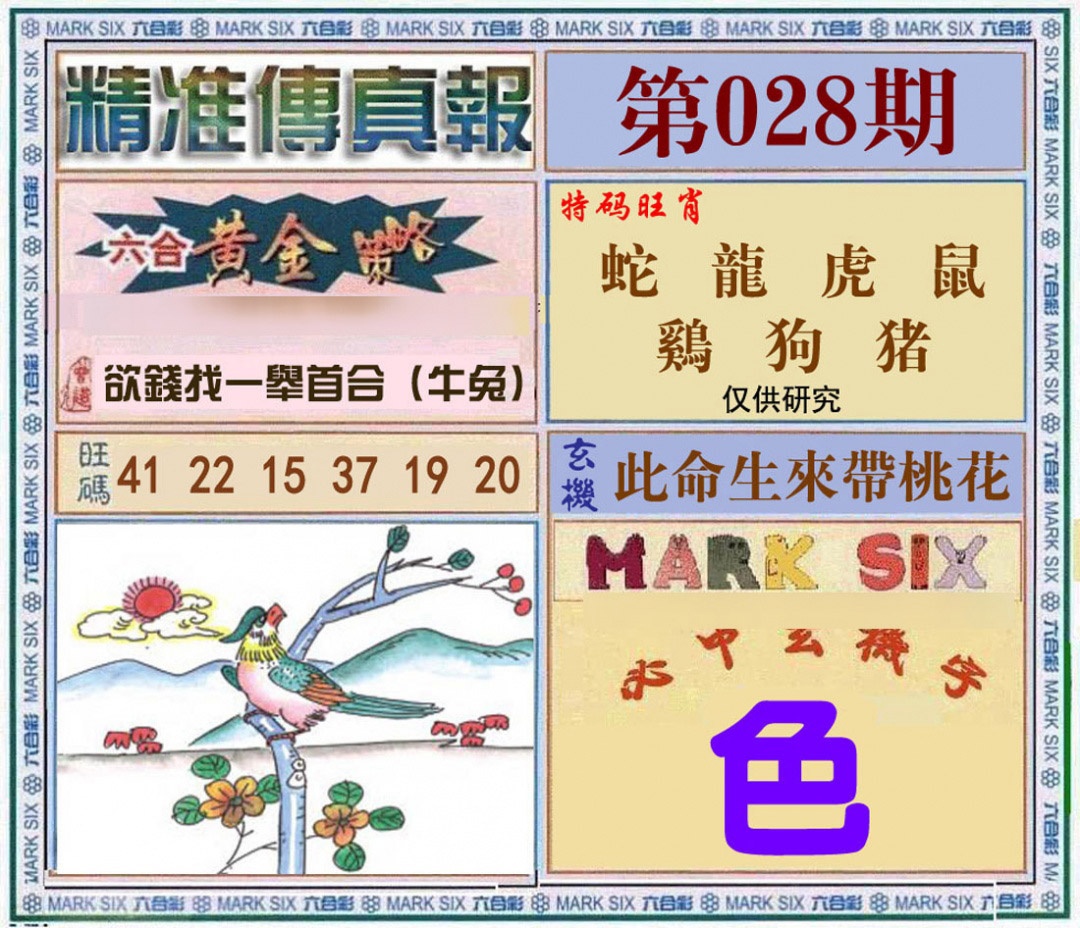 028期精准<?真?>[图]