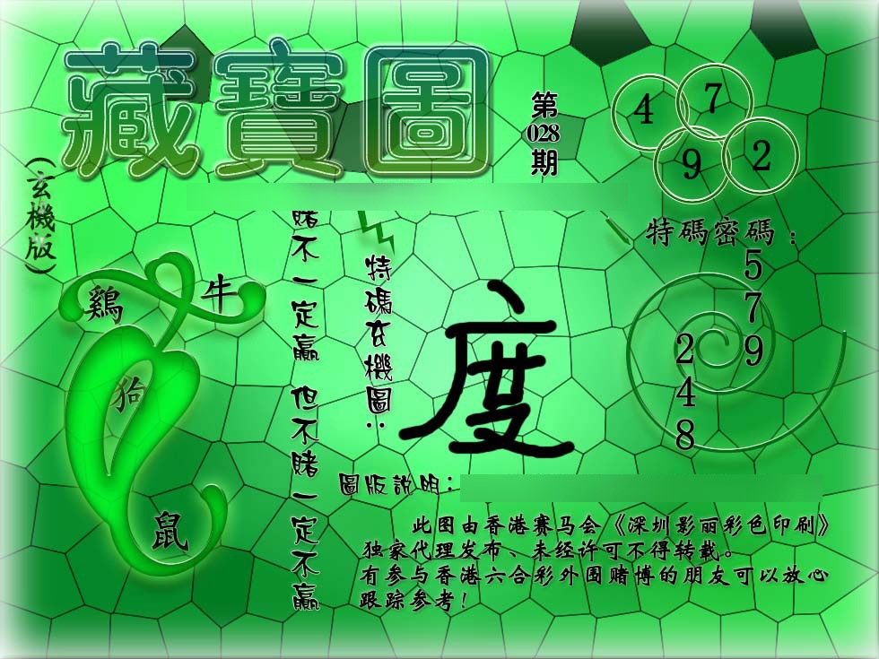 028期九龙玄机报[图]