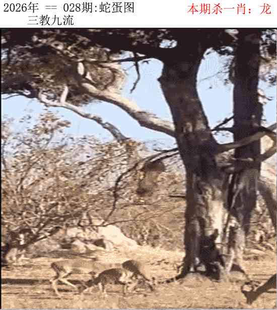 028期正版蛇蛋图[图]