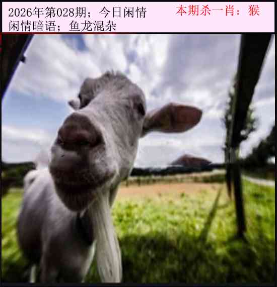 028期今日闲情[图]