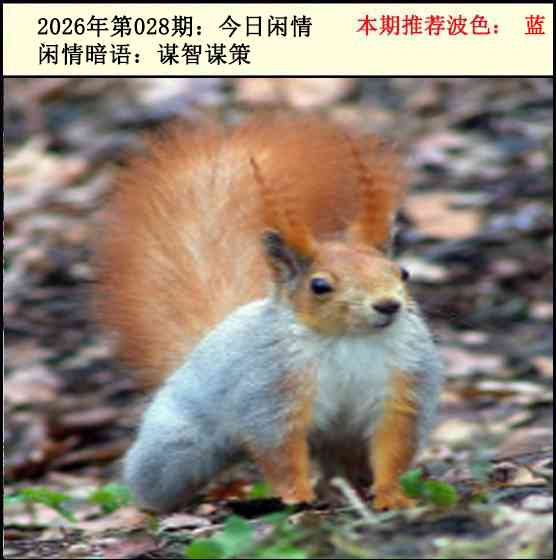 028期今日闲情2[图]